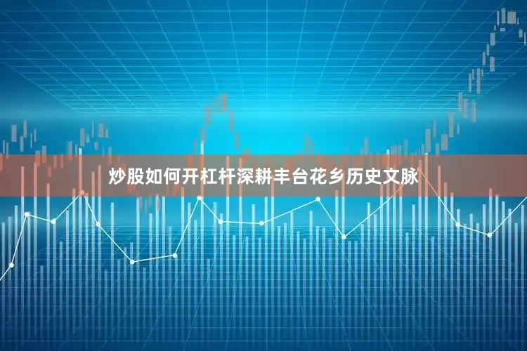 炒股如何开杠杆深耕丰台花乡历史文脉